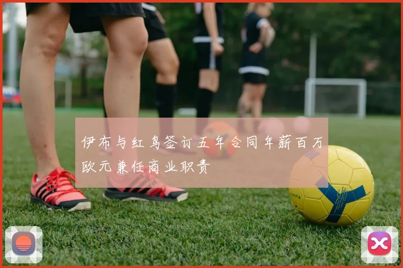 伊布与红鸟签订五年合同年薪百万欧元兼任商业职责